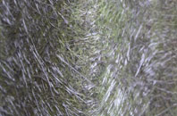 Nacton fibreglass roof work