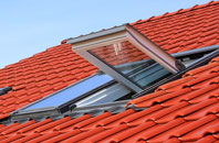 Nacton roof window